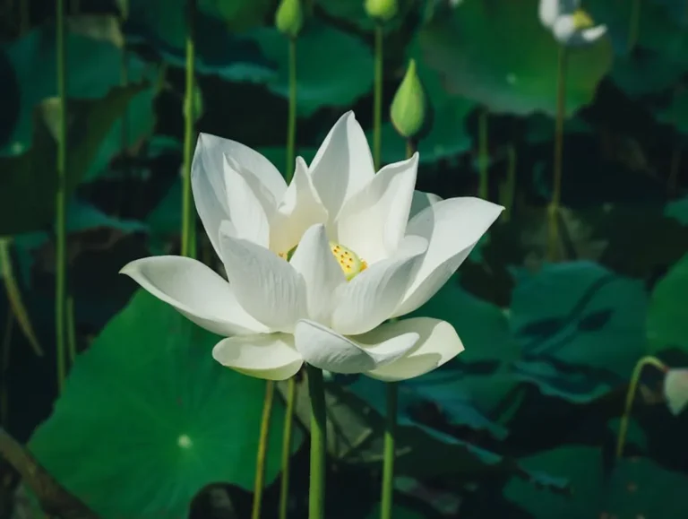 White Lotus Season 4: Cast, Release Date, Story, Trailer, and Updates